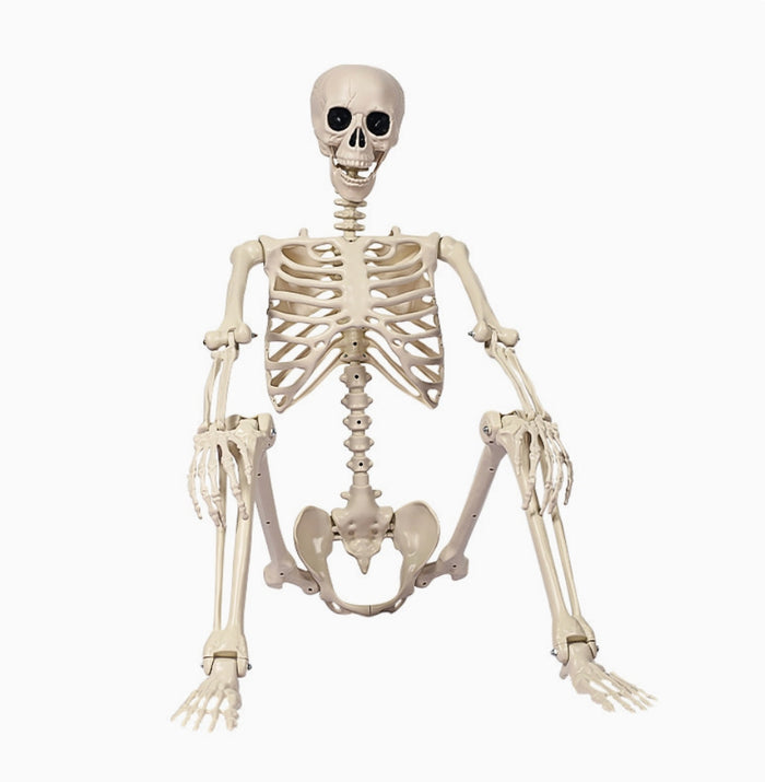 Gravewalker — Poseable Halloween Skeleton